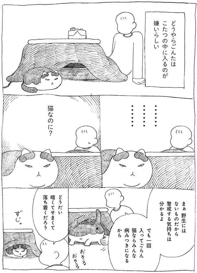『野良猫ごんた、家猫になる』より