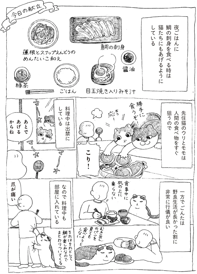 『野良猫ごんた、家猫になる』より