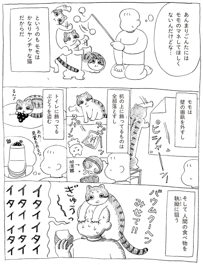 『野良猫ごんた、家猫になる』より