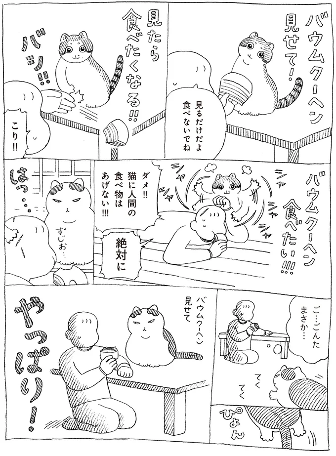 『野良猫ごんた、家猫になる』より