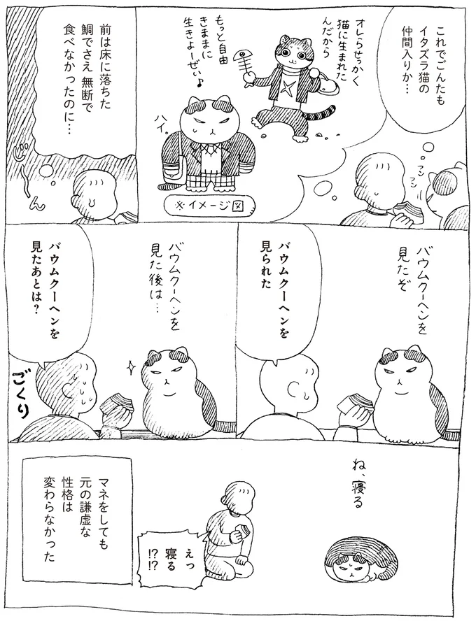 『野良猫ごんた、家猫になる』より