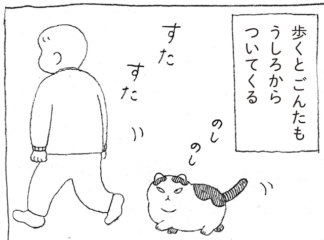 机のまわりをぐーるぐる！人間好きでくっつきたがる元野良猫