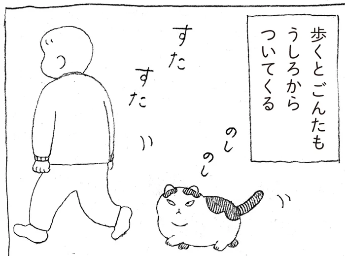 机のまわりをぐーるぐる！人間好きでくっつきたがる元野良猫