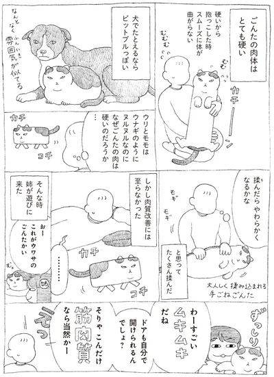 ごんたの肉体はとても硬い