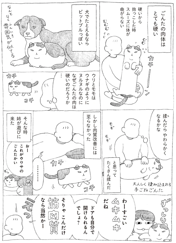 ごんたの肉体はとても硬い