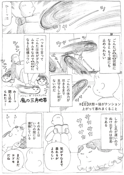 もう誰にも止められない