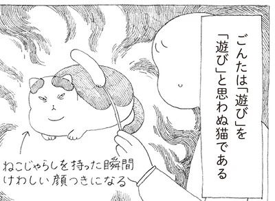 ねこじゃらしを持った瞬間