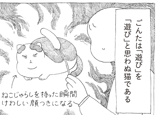 猫じゃらしを狙う殺し屋のような目をした猫！しかしすぐバテる