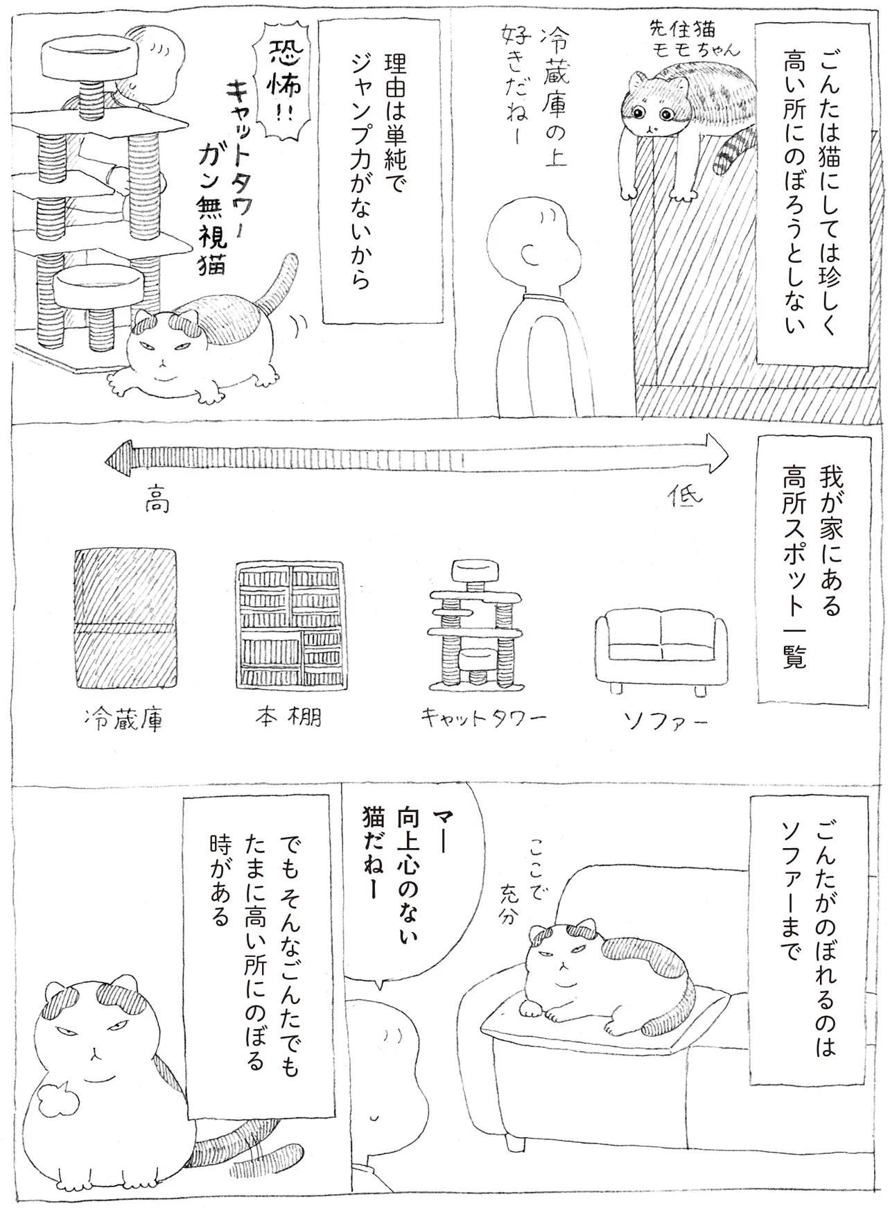 キャットタワーをガン無視する猫！？高いところにのぼらない理由