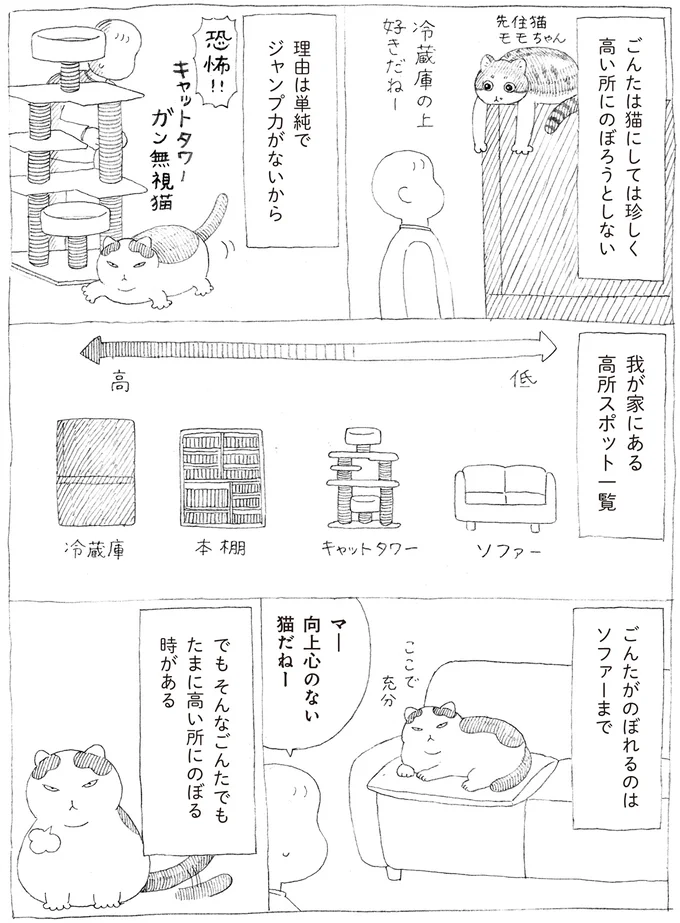 ジャンプ力がないから