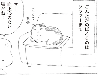 のぼれるのはソファーまで