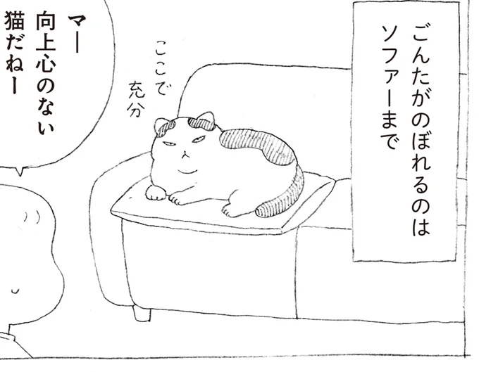 のぼれるのはソファーまで