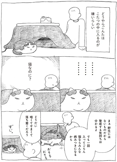 こたつの中に入るのが嫌いらしい