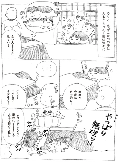 やっぱり無理ッ！！