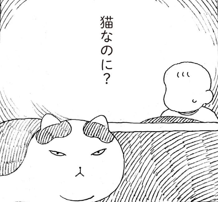 猫なのに？こたつが嫌いですぐに出てくる元野良猫