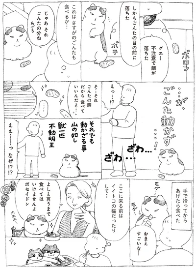 ごんた動かず…！