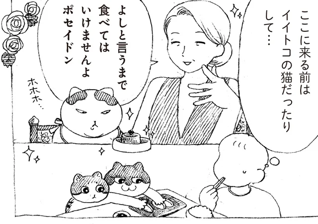 もしかしてイイトコの猫だった！？元野良猫の行儀の良さにびっくり！