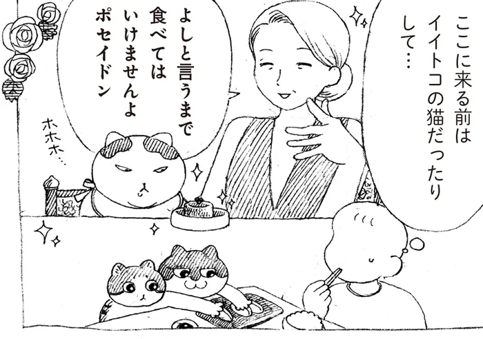 もしかしてイイトコの猫だった！？元野良猫の行儀の良さにびっくり！