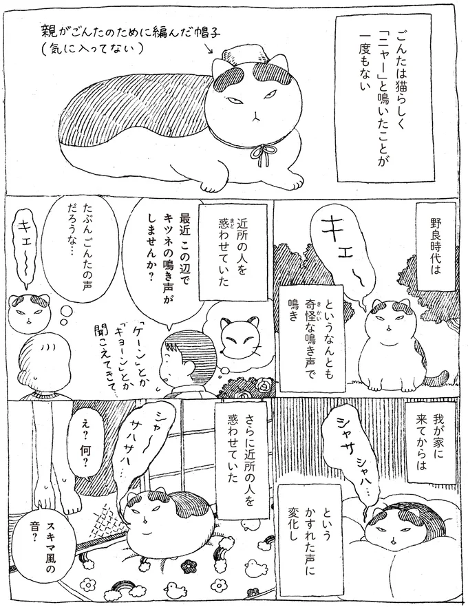 「ニャー」と鳴いたことが一度もない