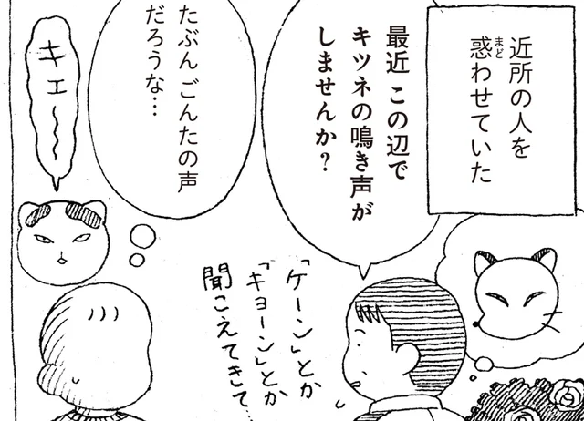 「ニャー」と鳴いたことのない猫。ご近所さんには狐と間違われて