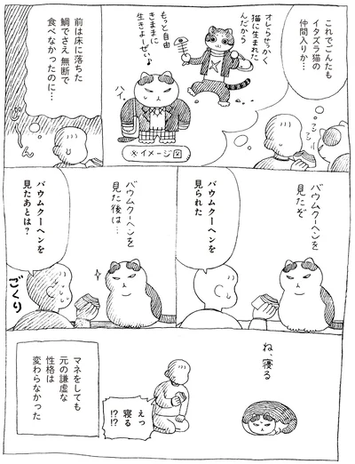 イタズラ猫の仲間入りか…