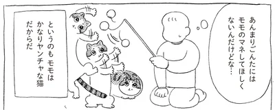 マネしてほしくないんだけどな…