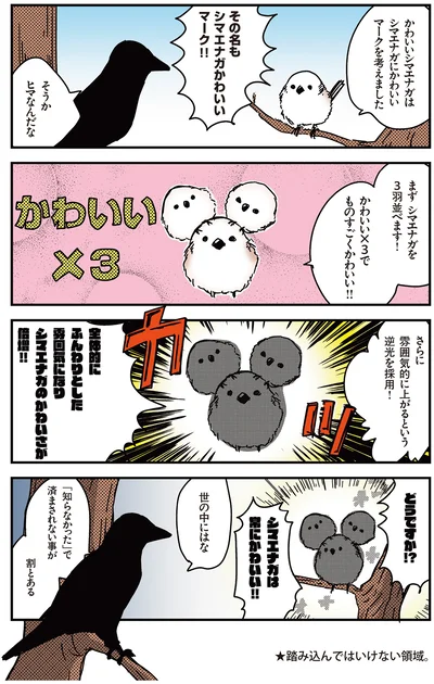 シマエナガを３羽並べます！