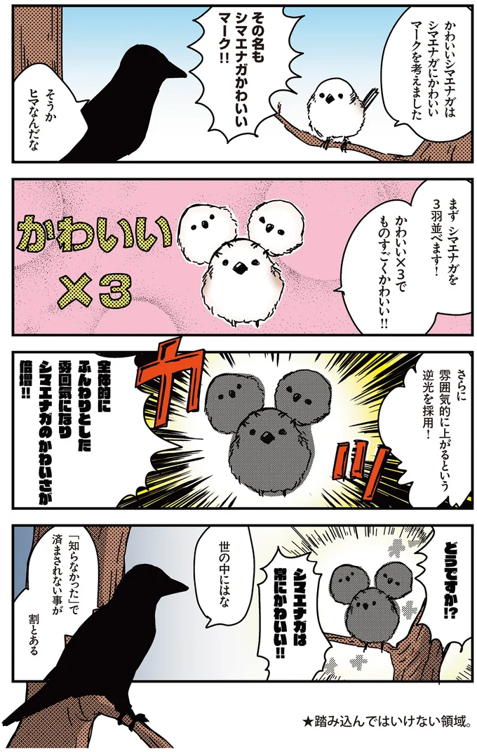 シマエナガを3羽並べます!