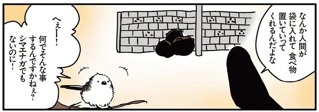 カラスは良くてもシマエナガはダメ？ 都会でのお食事事情