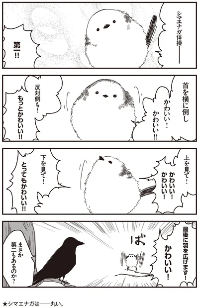 まさか第二もあるのか？