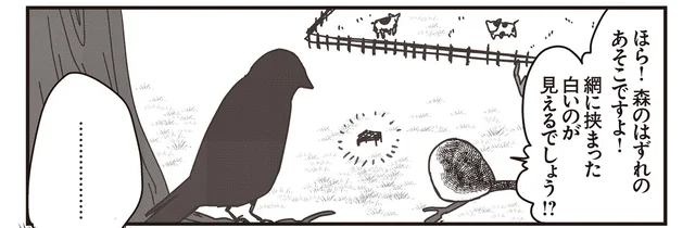 シマエナガの見つけた餌場に驚愕！ カラスさんが教えられた場所は