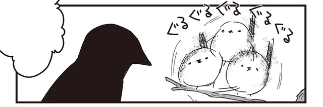 カラスさんがやりたくもない「シマエナガおみくじ」。果たして結果は？