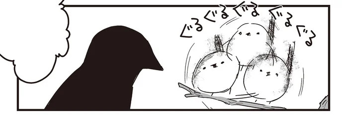 カラスさんがやりたくもない「シマエナガおみくじ」。果たして結果は？