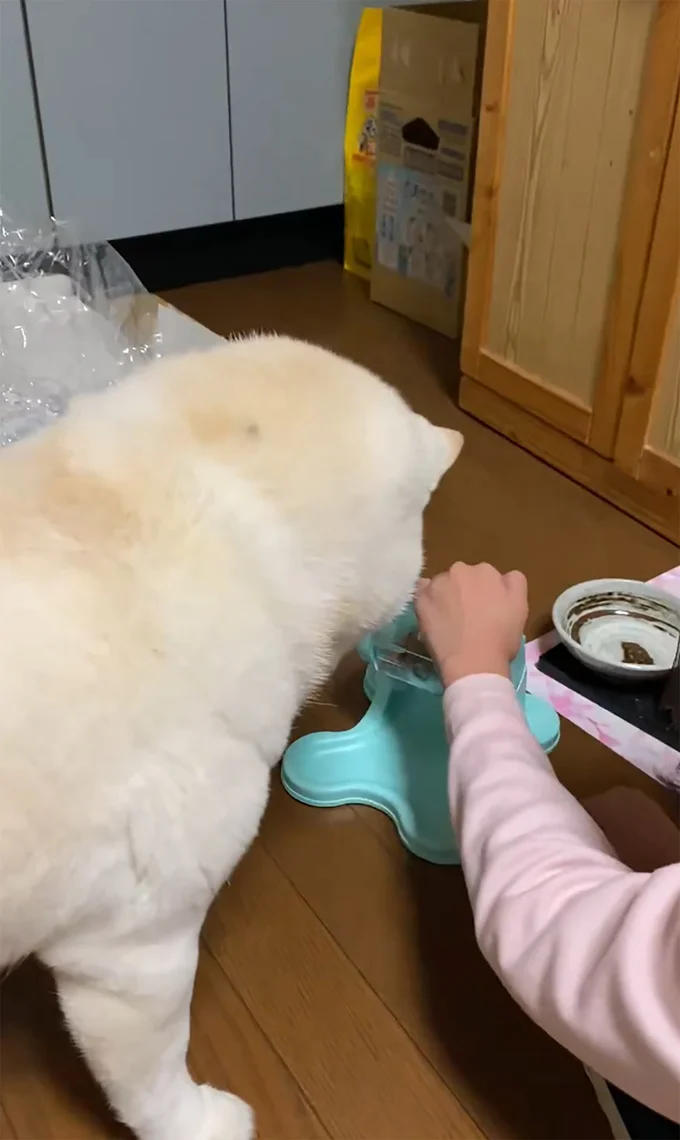 カリカリの出し方を教えます▶ふむふむ、なるほどね（⇒次へ）