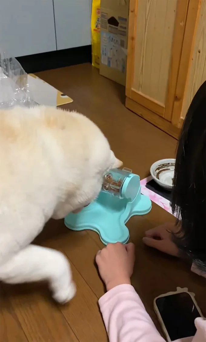 動いたまつちゃん▶こうですね？（⇒次へ）