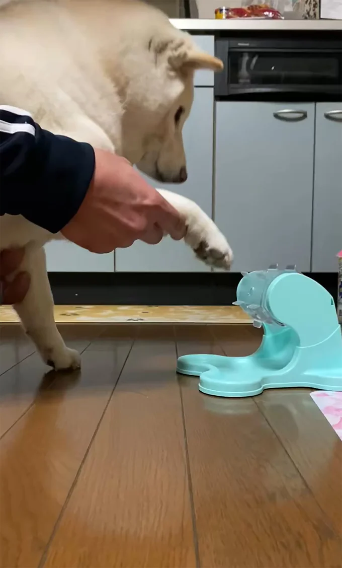 カリカリを出す特訓に励むまつちゃん▶これを…（⇒次へ）