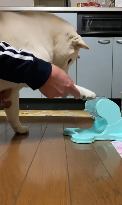 こうするんだよ▶なるほどなるほど（⇒次へ）