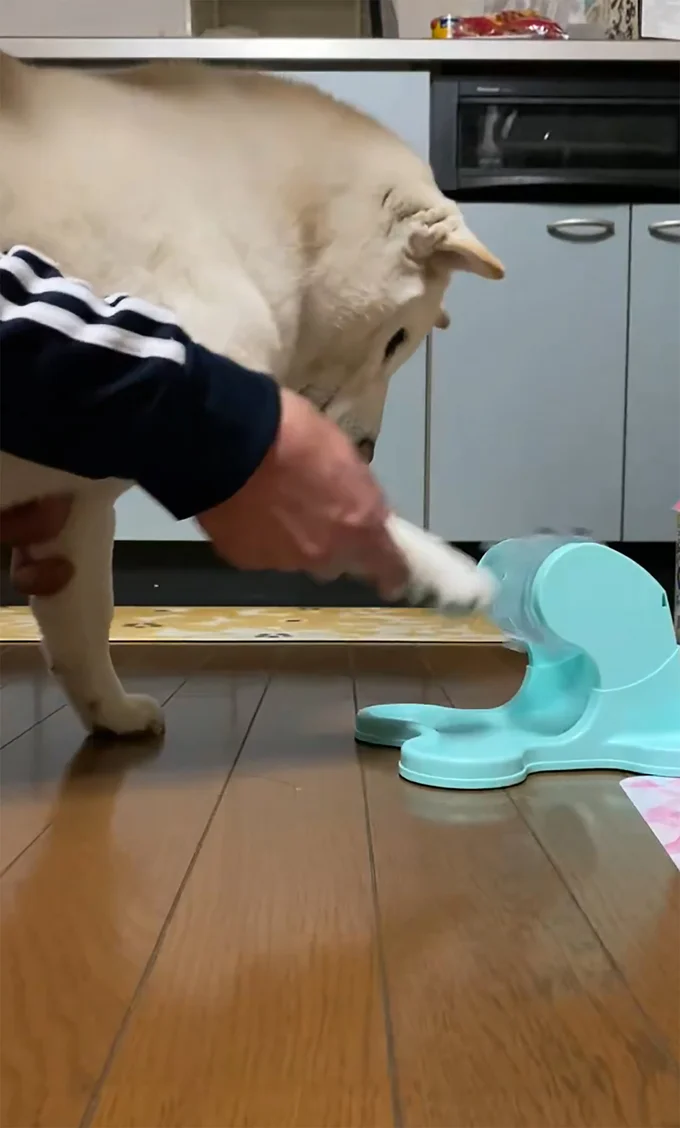 こうですか…▶ついに（⇒次へ）