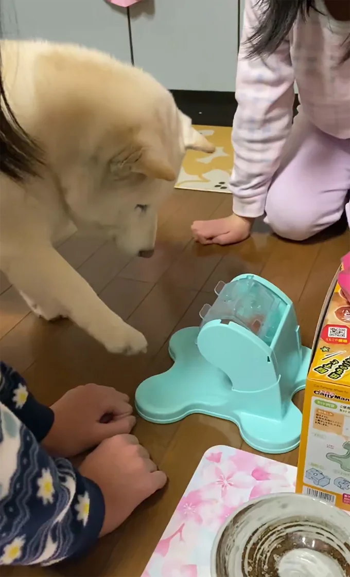 もうちょっと前に出てもいいのかな…？▶スンッ…（⇒次へ）