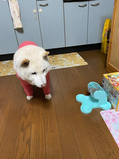 現在も自分で出せずに悩み続ける日々…▶まつちゃんは実はガソリンスタンドの店長さん！寒くても元気！（⇒次へ）