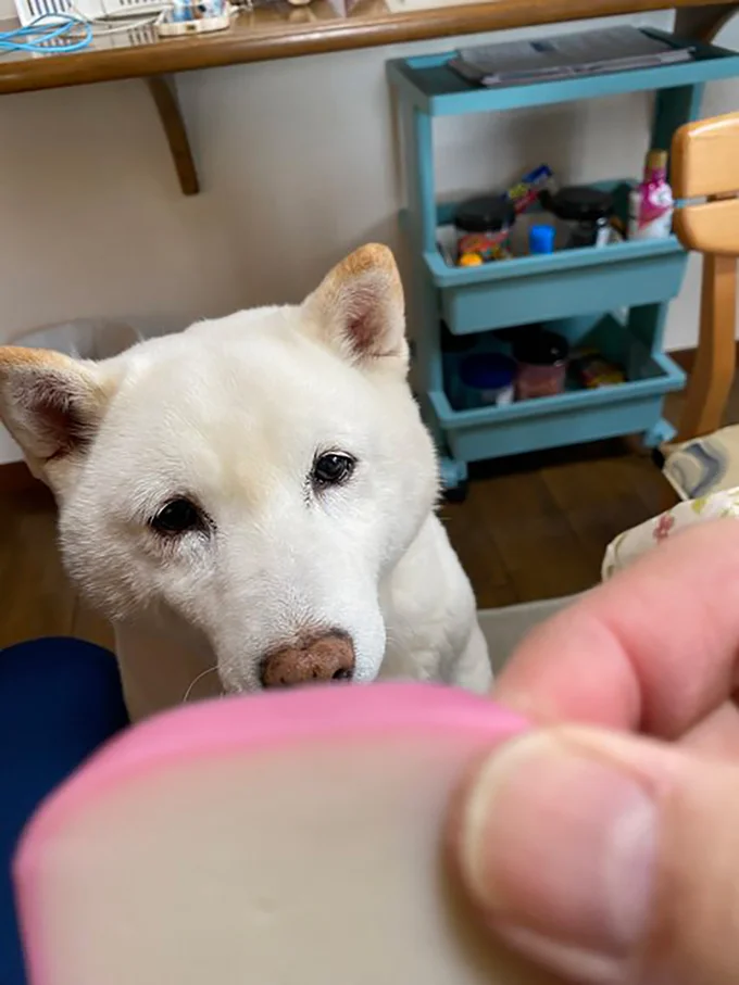 狙いを定めて…▶今だ！（⇒次へ）