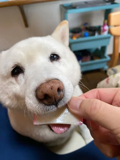 かまぼこをパクッ！▶エモーショナルな1枚（⇒次へ）