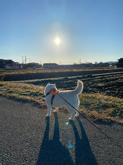 日に照らされるまつちゃん▶貫禄◎！（⇒次へ）