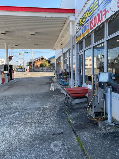 店長としての貫禄があるまつちゃん▶注射痛かった…（⇒次へ）