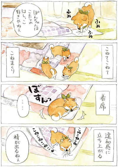 『柴犬ぽんちゃん、今日もわが道を行く2』より