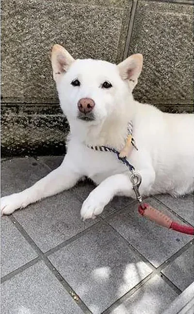 でも打ったの逆の足だよね…？▶足のぽってり具合にキュン♪（⇒次へ）