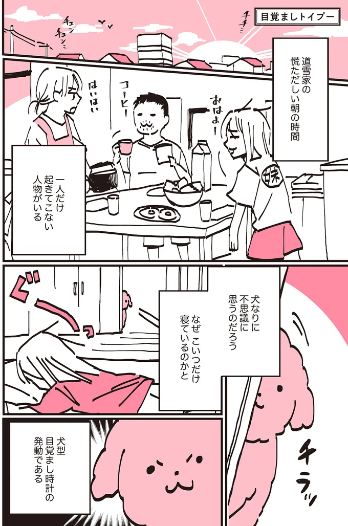 『うちのトイプーがアイドルすぎる。』より