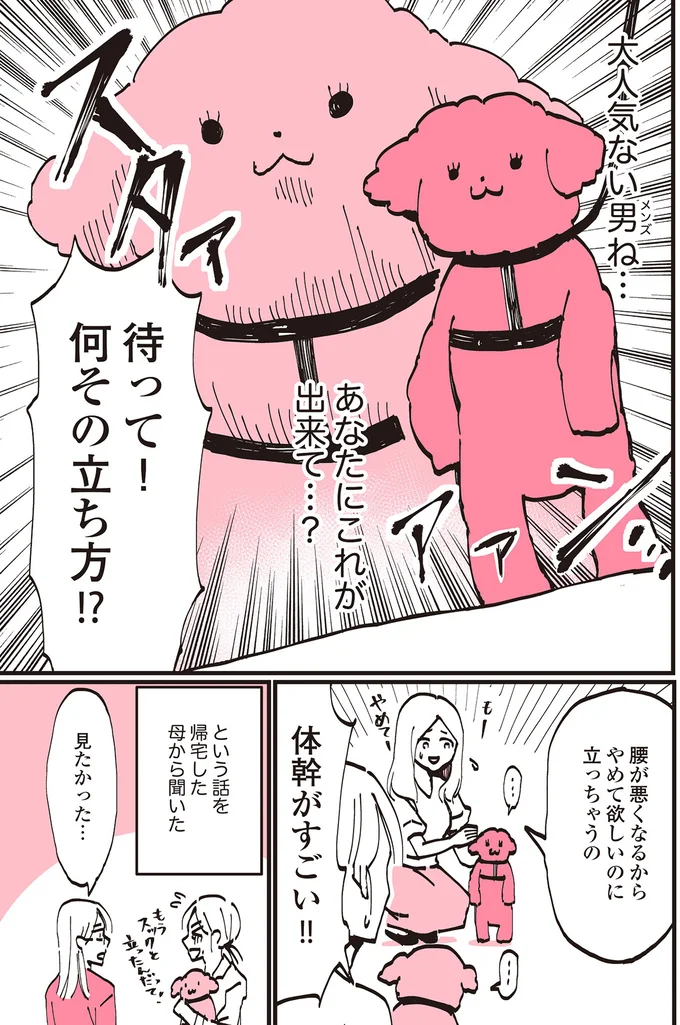 『うちのトイプーがアイドルすぎる。』より