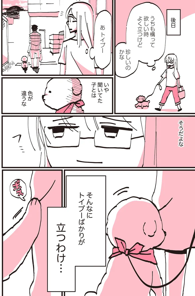 『うちのトイプーがアイドルすぎる。』より