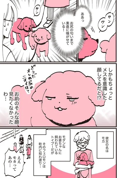 『うちのトイプーがアイドルすぎる。』より